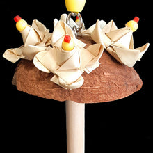 Load image into Gallery viewer, An adorable swing built for two! Made with a coconut shell and crunchy palm leaf rosettes with a 3/8&quot; diameter dowel perch. Designed for small birds such as finches, canaries, lovebirds, budgies and parrotlets.
